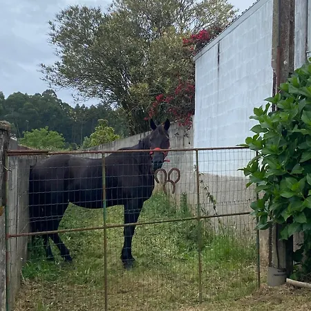 Tatil Evi Casa Lupe, Retiro Rural Cerca De