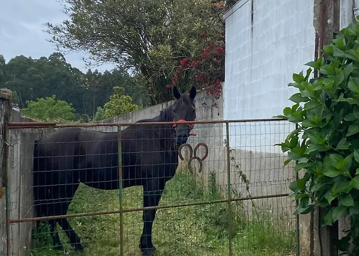 Holiday home Casa Lupe, Retiro Rural Cerca De